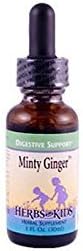 Herbs for Kids Minty Ginger Blend 1 oz (Multi-Pack)