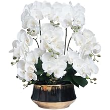 CXGS Orchids Artificial Flower Real Touch Faux Orchid in Large Ceramic Vase 23.6'' Realistic White Fake Phalaenopsis Floral Arrangements Centerpiece Table Home Indoor Decor