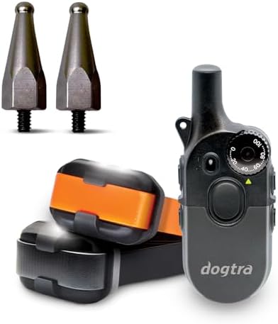 Dogtra 200iQ 2-Dog Remote Training E-Collar with Titanium Contact 1" | 1/2 Mile Range, 100 Levels, Tone & Vibration, Compact, Waterproof, One-Handed Control, Ideal for Long-Haired Dogs