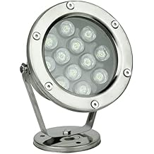 Braiton LED Underwater Pool Fountain Spotlight Low Voltage 24V Pond Light Submersible LED Pond Spot Lights ,White,12W