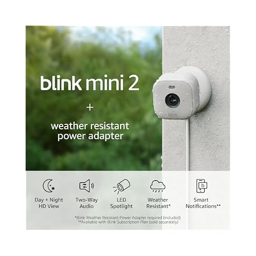 Blink Mini 2 + Weather Resistant Adapter Indoor/Outdoor Home Security & Pet Camera(s) with HD video, motion detection, and built-in spotlight 1 camera (White)