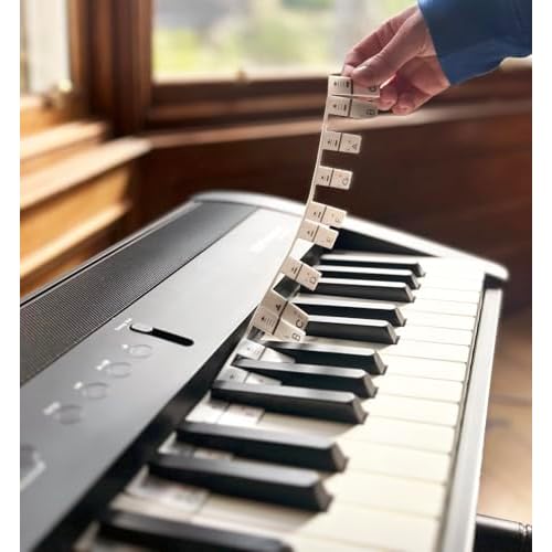Removable Silicone Piano & Keyboard Note Strips Music Learning Tool - For Teachers and Students- Fits Full 88-Key Keyboards