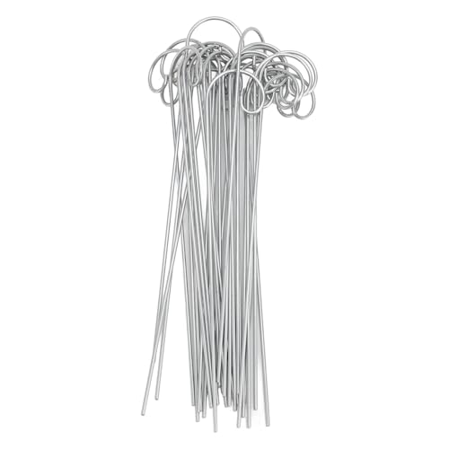 shenruifa 30Pcs Stainless Steel Plant Markers - 8 Inch Garden Labels for Outdoor Plants, Flower Pots & Bonsai with Holder Hooks