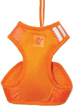 DOGO EasyGO Basic (Orange, Medium)