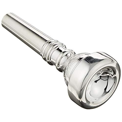 Vincent Bach Trombone Cleaning and Care Product 3493E