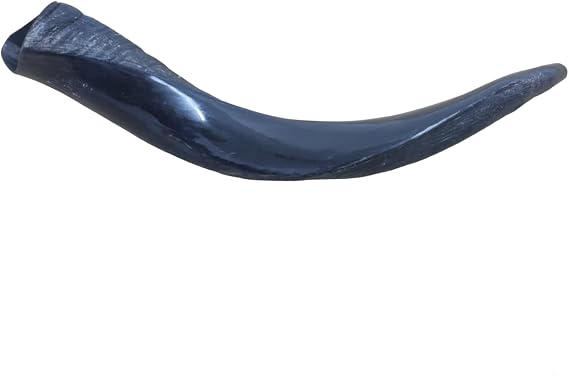 Authentic Yemenite Kudu Shofar - Mini 16"-20" - Handcrafted Natural Horn for Rosh Hashanah, Yom Kippur & Jewish Holidays - Yaliland Exclusive
