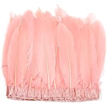 2 Yards Natural Goose Feathers Trim Sewing Fringe Fashion Dress Sewing 6-8inch for DIY Handicrafts Costumes Decoration,Warm Powder