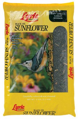 Black Oil Sunflower 10#