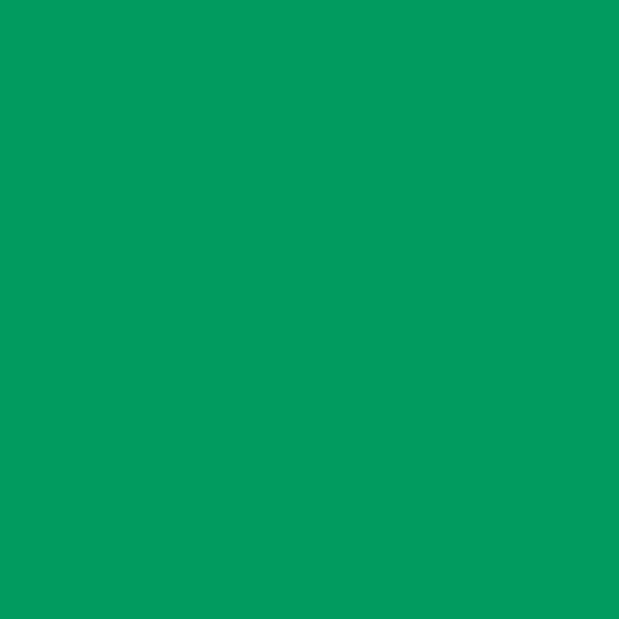 Pantone TPG 8.5X11 Sheet 15-5534 Bright Green
