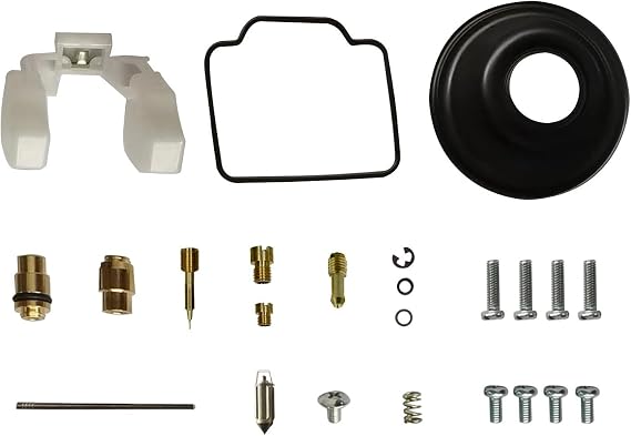 Carburetor Rebuild Repair Kit for Yamaha Bear Tracker 250 2WD (1999-2004), Big Bear 350 (1999), Wolverine 350 (1996-2005) YFM350 ATV Carb Kit Float Diaphragm Needle Jet
