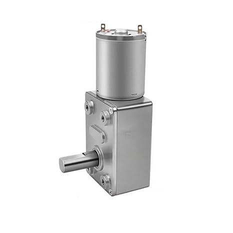 6V 12V 24V Micro DC Reduced Gear Turbo Worm Motor 2~150RPM 1.2~25KG.CM 2.4W Speed Regulation Low for Engraving Machine(30RPM,24V)