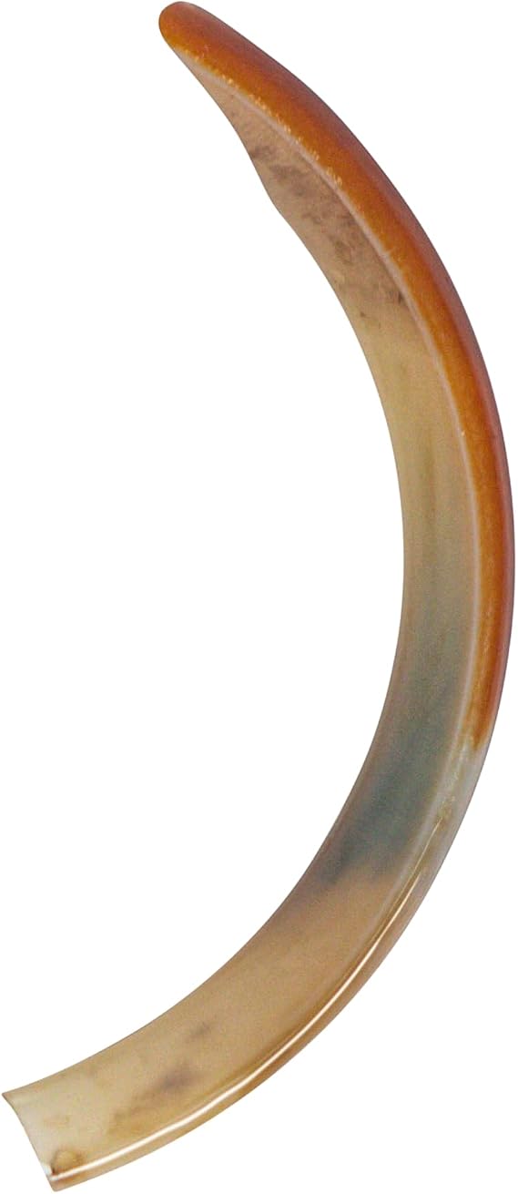 Five (5) Large Real Beaver Teeth