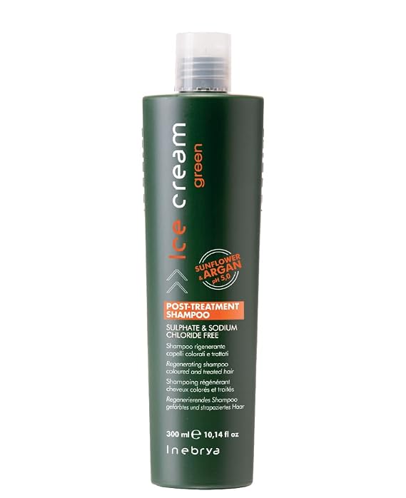 Inbebrya Ice Cream Post Treatment Shampoo 300 ml 10.14 oz