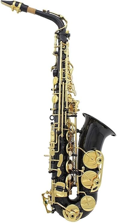 Brass EB E-Flat Alto Saxophone Sax Abalone Shell Buttons with Case Gloves Cleaning Cloth Grease Belt Brush