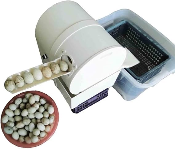 Electric egg washing machine, egg washing machine, automatic egg washing machine, chicken/duck/goose egg washing machine(Duck eggs,110VSingle channel)