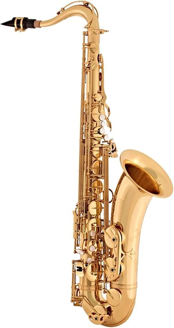 Saxophone Straight Tenor Saxophone B Flat Brass Nickel Plated Musical Instruments Sax with Case Mouthpiece (Color : 1)