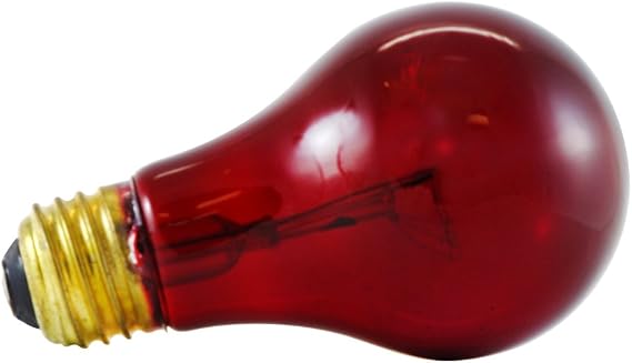 Havells 60944 Incandescent 25-Watt Medium A19 Light Bulb, Red