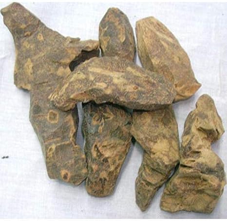 Veena CHOBCHINI - CHOPCHINI - China Root - Smilax GLABRA (500 GMS)