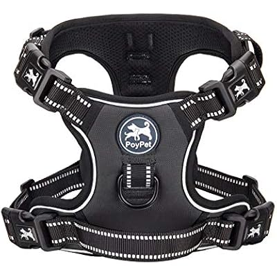 PoyPet No Pull Dog Harness with 4 Buckles for Puppy Small Dogs Black,S