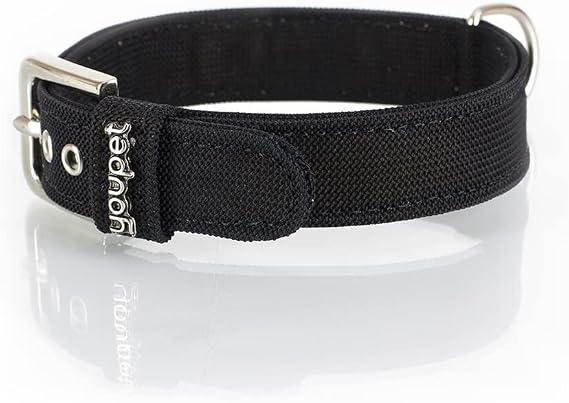NY Basic Dog Collar