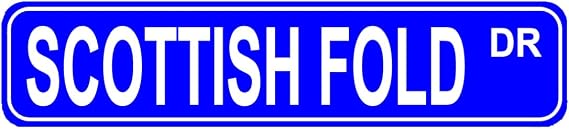 Scottish Fold Dr Sign Cat Lover Owner Gift Home House Wall Decor Street Sign Blue Tin Sign 16x4 Inch