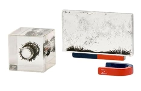 Sci-Supply Magnetic Lines of Force Demonstration Set 3D Iron Filings Cube & Rectangular Magnetic Field Visualizers Includes Bar & Horseshoe Magnets Physics Classroom Kit