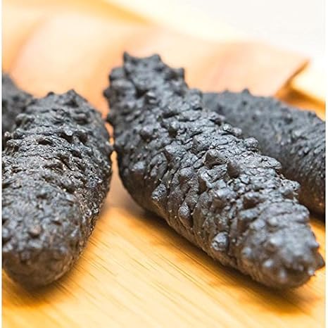 XLSEAFOOD Sun Dried Wild Caught Arctic Sea Cucumber AAA Grade 1 lb large size 8#70 4541 lb