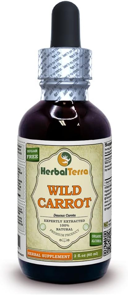 Wild Carrot (Daucus Carota) Tincture, Dried Top (Seed) Liquid Extract 2 oz