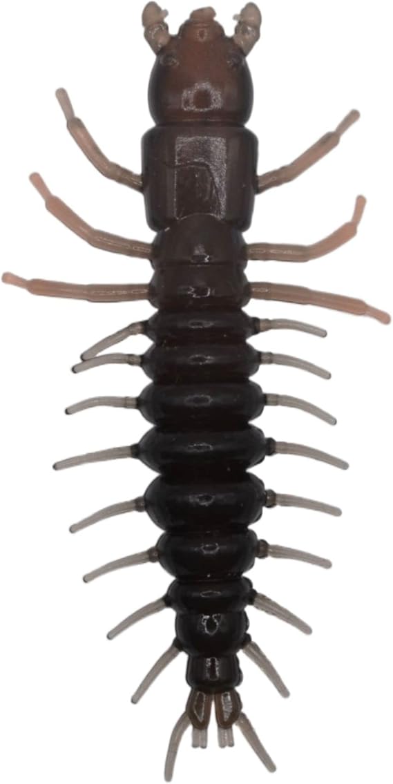 NIKKO Hellgrammite 3" - Natural, 6-Pack Bundle