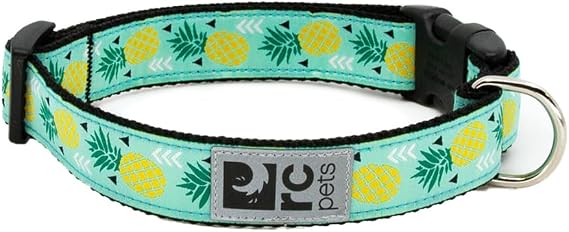 RC Pets 3/4 Inch Adjustable Dog Clip Collar, Small, Pineapple Parade