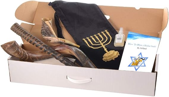 Shofar from Israel Set of 3 Horn : Kudu, Oryx, Ram + Bag + spray + Guide + Carrying case