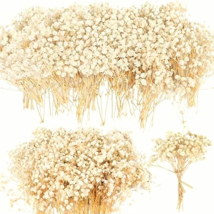 4700 Mini Dried Babys Breath Flowers, 90Pcs Ivory White Baby Breath Flower Bulk, Dried Flowers for Crafts, Wedding Decor Boho Invitation, Resin Candle Making, Dry Babies Flowers, Rustic Gypsophila