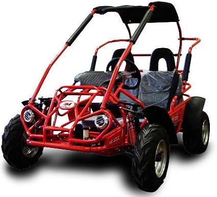 TRAILMASTER Mid XRX/R - Deluxe Go Kart Buggy with Reverse, Full roll cage and Safety Harness, Ages 10 and up, 196 CC Electric Start. (Red)