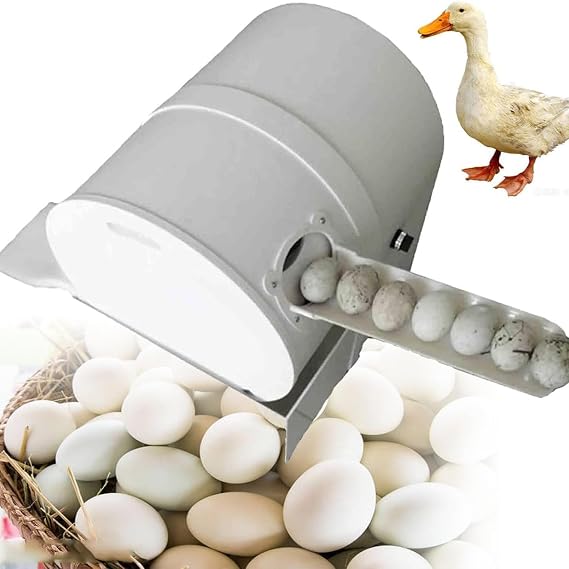 120W Egg Washer Machine Automatic Egg Cleaning Machine, 2300 Pcs/H Chicken Duck Goose Egg Cleaner Wash Machine, Egg Washer Machine Tool for Home Farm