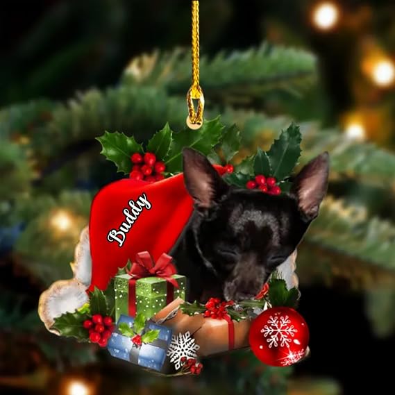 Personalized Chihuahua Black Dog Sleeping in Hat Christmas Hanging Ornament, Custom Dog Name, Gift for Dog Lovers, Christmas, Birthday, Car Accessories, Home Decor - G47