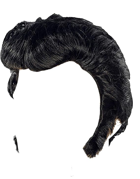 Black Elvis Wig With Sideburns for Men... (black)