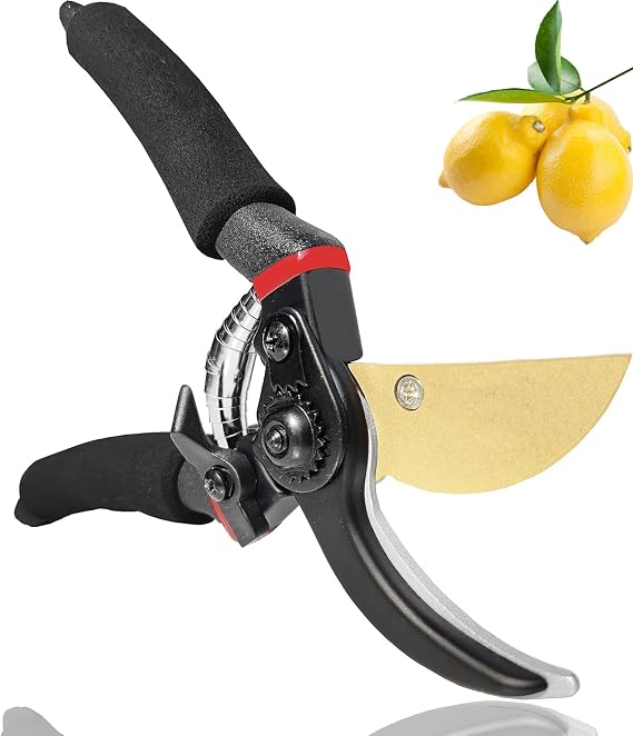 Premium Titanium Garden Secateurs - Professional Bypass Pruning Shears Hand Pruners, Garden Clip, Hedge Shears for Plants, Hedges, and Flowers