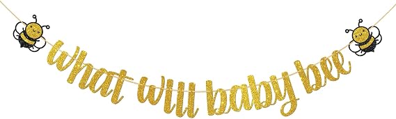 What Will Baby Bee Banner Bumble Bee Themed Baby Shower Gender Reveal Party Decoration He or She Boy or Girl Sign Party Decor Suupplies Photo Booth Prop