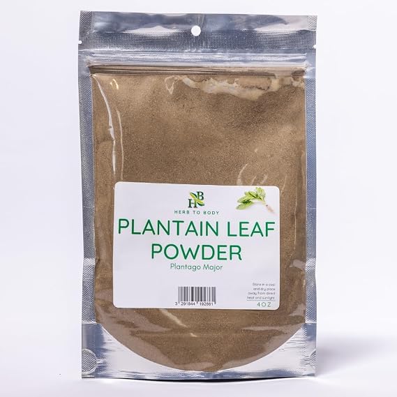 Herb To Body Plantain Leaf Powder 4oz, Wildcrafted Plantago major, Finely Ground Plantain Leaf for Herbal Tea, Traditional Herbal Blends, and DIY Preparations