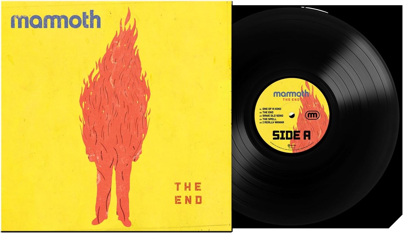 The End 12 inch Analog