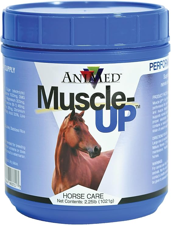 Muscle Up Pwdr Eq 2.5# 90371, 389037