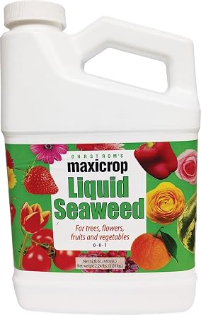 Maxicrop Liquid Seaweed, 1 qt