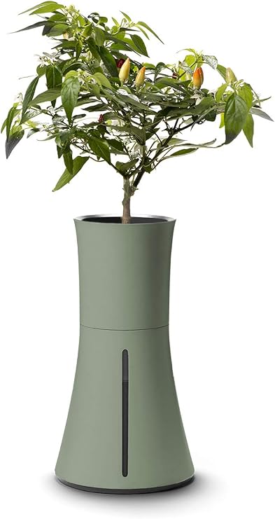 Botanium Hydroponic and Automatic Indoor Gardening Pot, Green