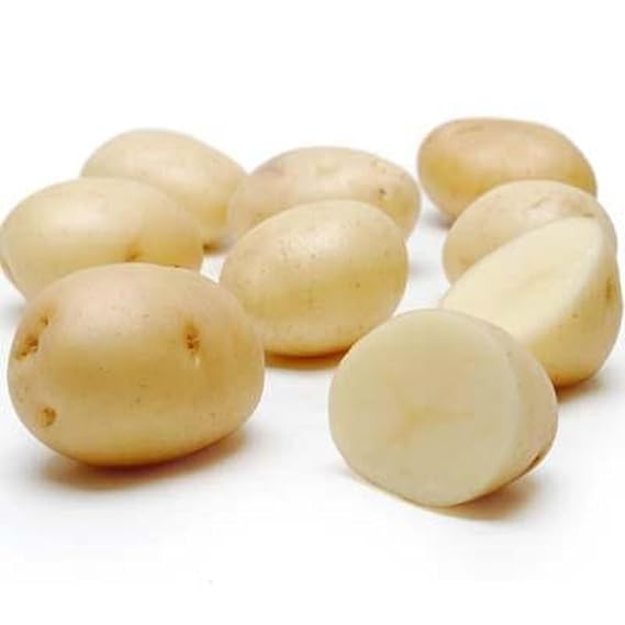 Premium Quality White Potatoes 10Lbs