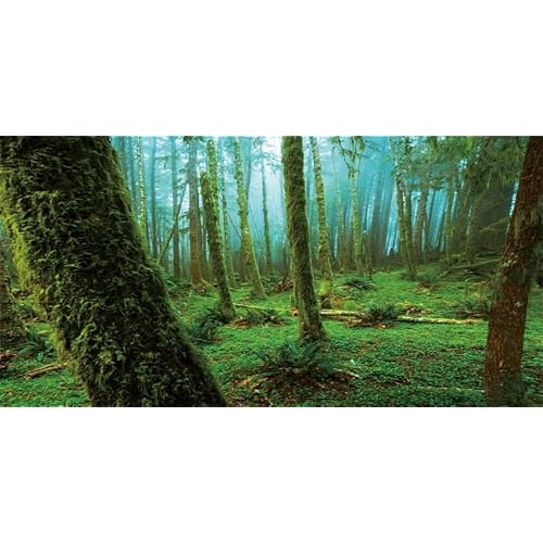 AWERT 48x24 inches Tropical Terrarium Background Rainforest Aquarium Background Green Tree Reptile Habitat Background Polyester Background