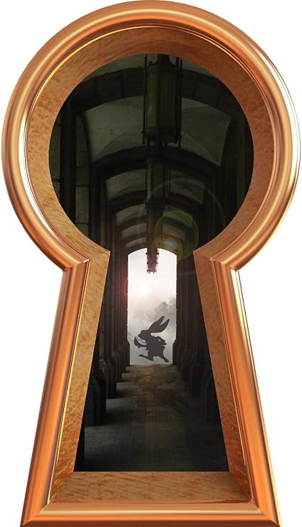 16" Bronze Keyhole 3D Wall Decal White Rabbit Running Late Wonderland Decor Removable Vinyl Wall Sticker