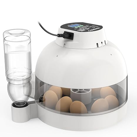 Life Basis Incubator Hatcher Automatic Incubator Incubator Automatic Constant Temperature Machine Constant Temperature Machine Bird-Specific Incubator Automatic Egg Turning Type Automatic Temperature