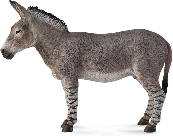 CollectA African Wild Ass Animal Toy