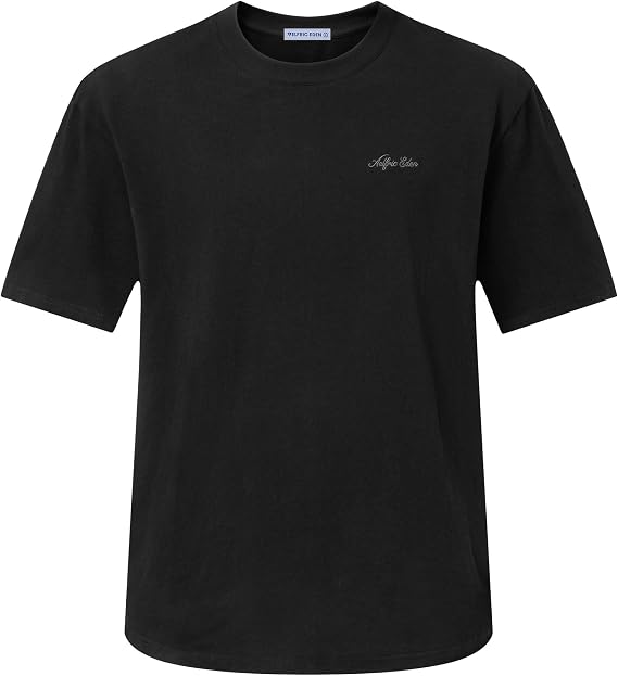 Aelfric Eden Mens T Shirts Casual Heavyweight Cotton Classic Tees Short Sleeve Tops