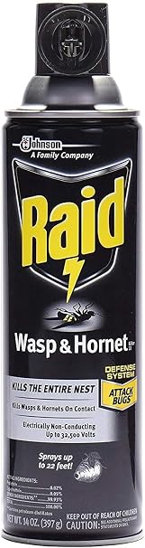 Raid Wasp Hornet Killer Spray (14 Ounce (Pack of 10))